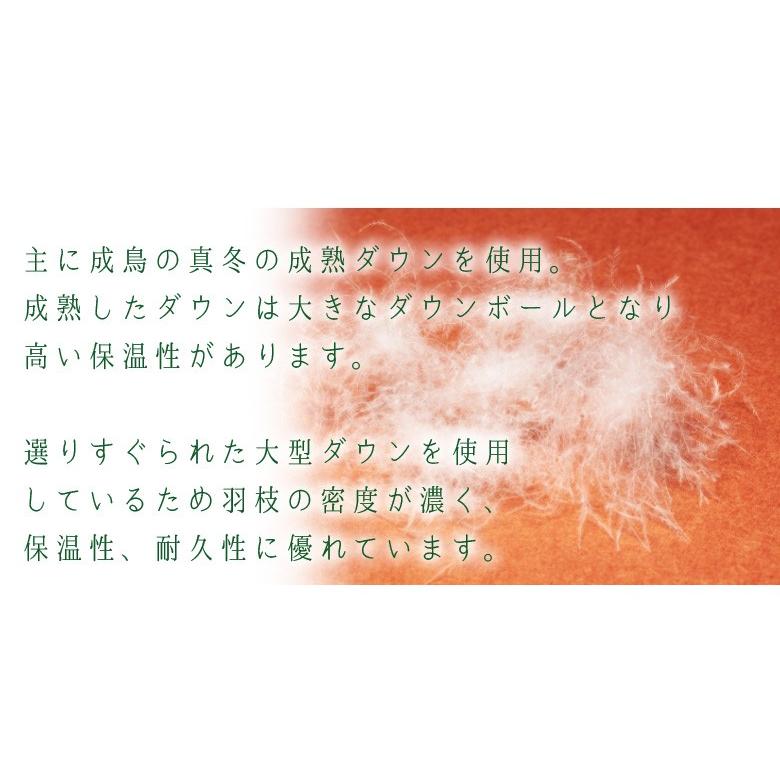 羽毛布団 ダウンケット クイーンロング ウクライナダックダウン 羽毛肌掛け 肌掛け イワタ 掛け布団 洗える 日本製 国産 羽毛 夏 春 夏用掛け布団 |  | 03