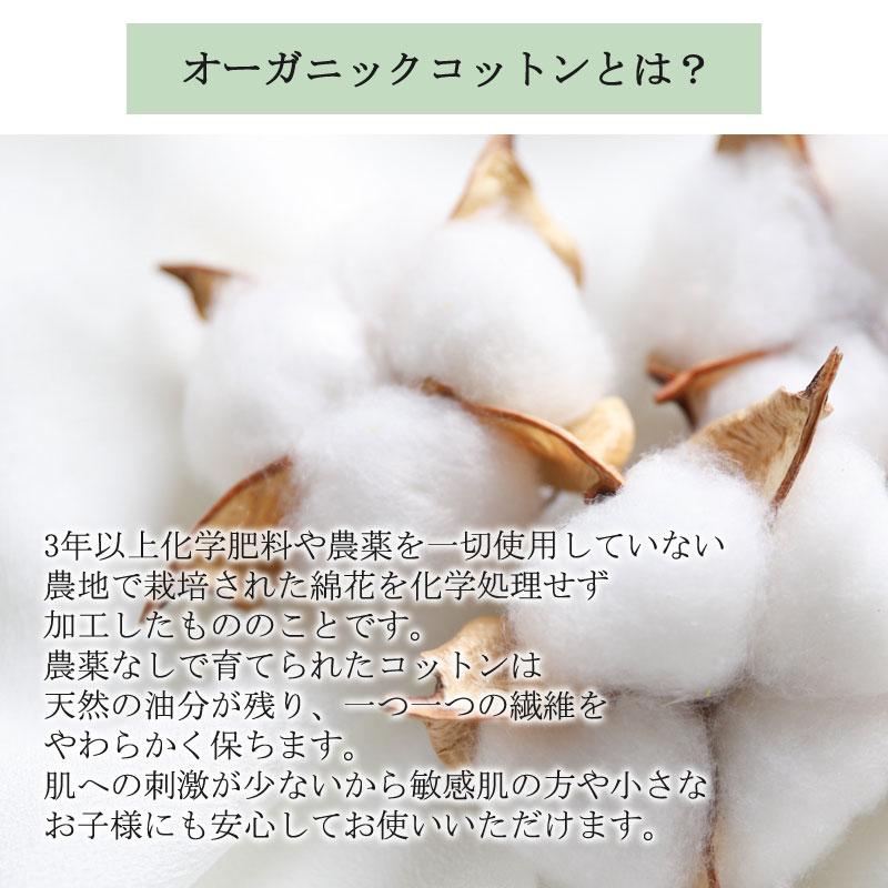 敷きパッド クイーン オーガニックコットン 綿100％ 天然繊維 天然素材 赤ちゃん 子供 敏感肌 肌に優しい やわらか パイル タオル 天竺ニット オールシーズン |  | 01