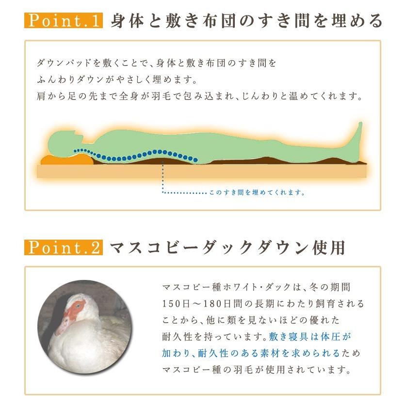 イワタ ダウンパッド／羽毛敷きパッド　シングルサイズ100×200cm マスコビーダックダウン使用 冷え性 寒がり ダウン 羽毛寝具 iwata 岩田 羽毛 敷きパッド_3