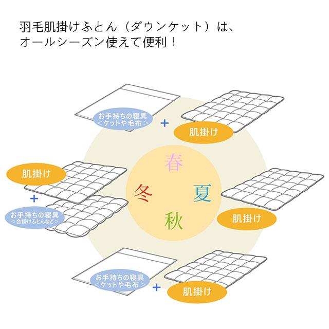 西川 ダウンケット シングル ダウン85% 洗える 抗菌加工 西川 ダウンケット シングル ダウン85% 洗える 抗菌加工
