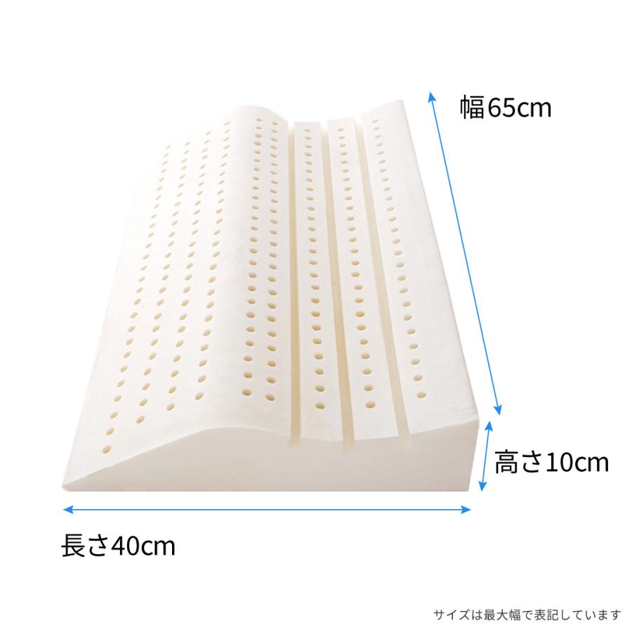 枕 アナトミック ピロー ラテックス 仰向き スロープ 肩 首 支え 65x40x10cm 専用抗菌ピローケース付き マルチエアホール | Sealy | 02