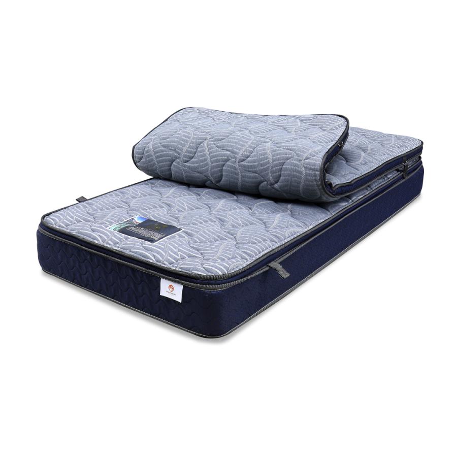 マットレス 薄型マットレス セット リバーブルDX スタンダード ダブル Dサイズ シーリー 日本製 配送無料 ポリジン加工 抗菌防臭 裏表で硬さ変化 | Sealy | 01