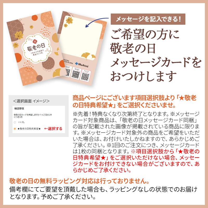 西川（nishikawa） 最大P10倍 ムアツまくら MP2100 約60×37cm 枕 昭和