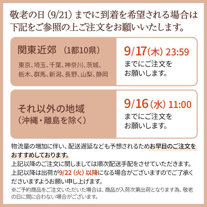 西川（nishikawa） ボーナスストア+4％ ムアツまくら MP2050 約50×35cm