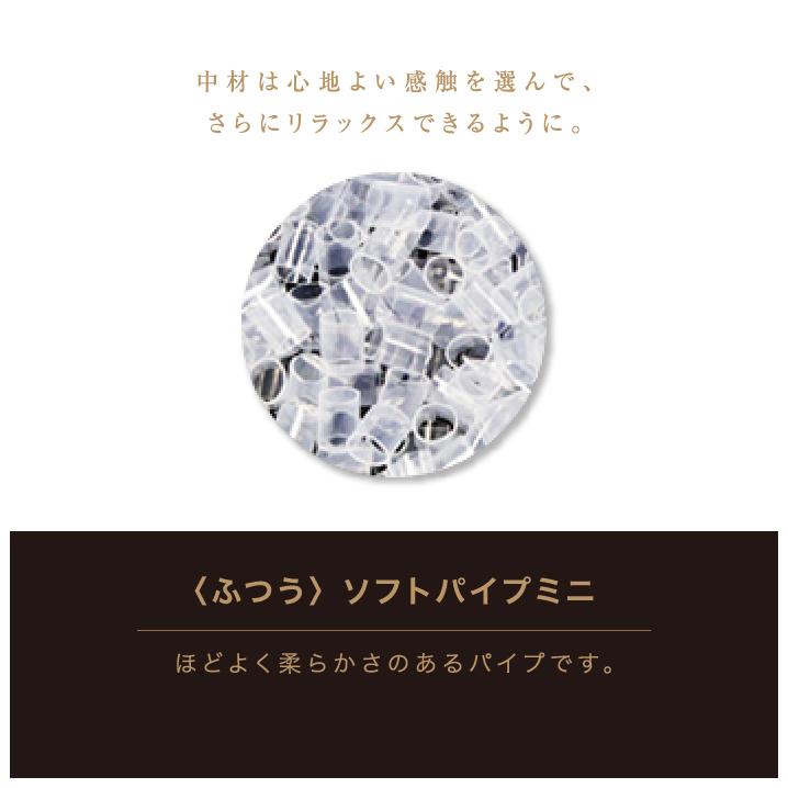 枕 まくら オーダーメイド オーダー枕 高級枕 オーダー ピロー 高級 オーダーまくら ゴアテックス ギフト券 ギフト プレゼント 贈り物 寝具 東京西川 敬老の日 | 西川 | 13