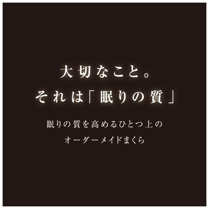 枕 まくら オーダーメイド オーダー枕 高級枕 オーダー ピロー 高級 オーダーまくら ゴアテックス ギフト券 ギフト プレゼント 贈り物 寝具 東京西川 敬老の日 | 西川 | 06