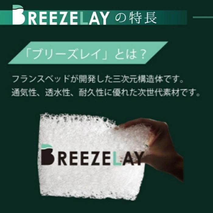 フランスベッド ボディテクト ベッドパッド オーバーレイ ブリーズレイ 三次元構造体 シングル キャンプ ソロキャンプ レジャー 敷き布団 敷きふとん 360076170