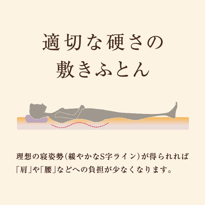 西川 東京西川 マットレス 高反発マットレス Body Pillow Premium ダブル 硬め ハード ウレタンマットレス ３つ折りマットレス 寝具 体圧分散の画像