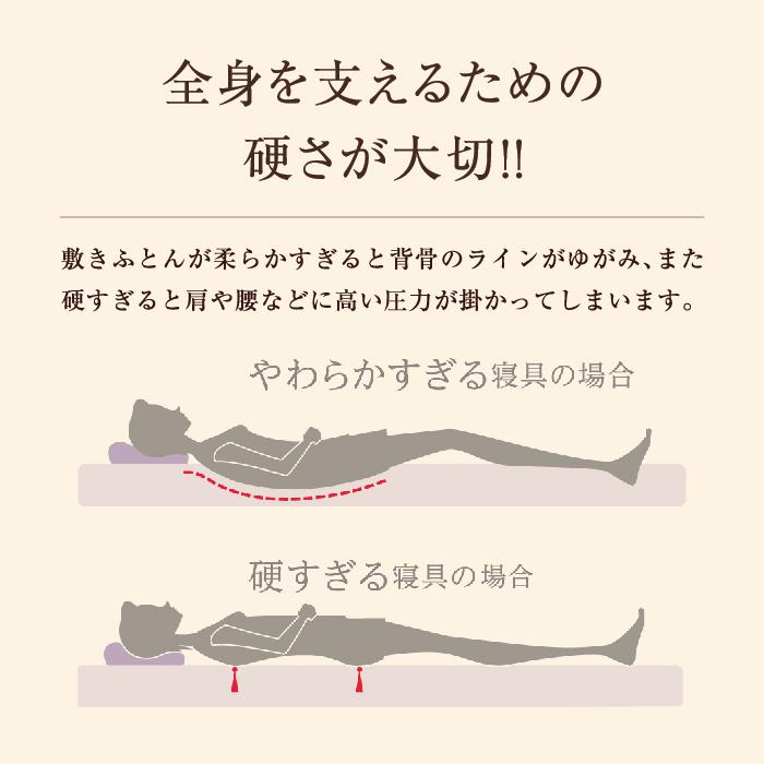 西川 東京西川 マットレス Body Pillow Premium セミダブル やわらかめ レギュラー 高反発マットレス ウレタンマットレス ３つ折りマットレス 体圧分散の画像