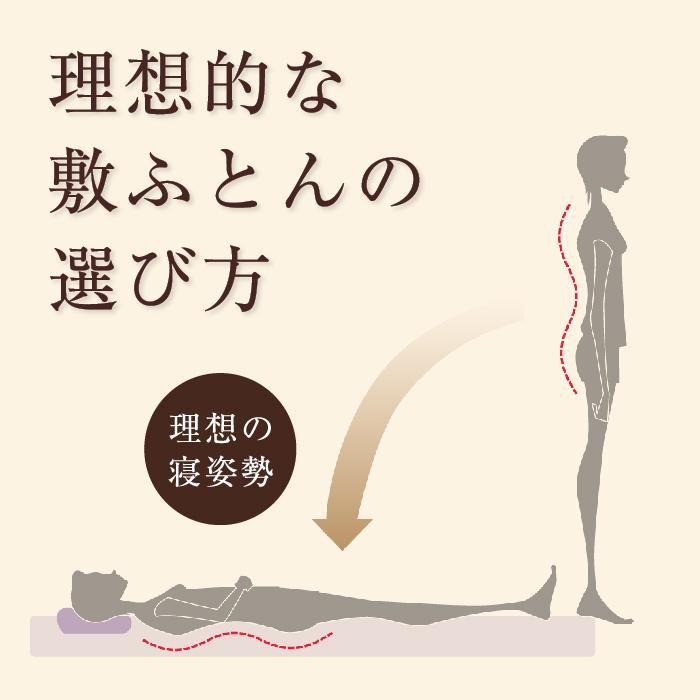 西川 東京西川 マットレス Body Pillow Premium セミダブル かため ハード ウレタンマットレス 高反発マットレス ３つ折りマットレス 寝具 体圧分散の画像