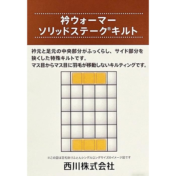 西川（nishikawa） 東京西川 GORETEX ゴア 羽毛掛けふとん 羽毛布団