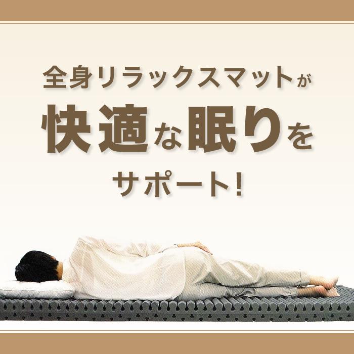 西川（nishikawa） 東京西川 BodyPillow セミダブルサイズ マットレス