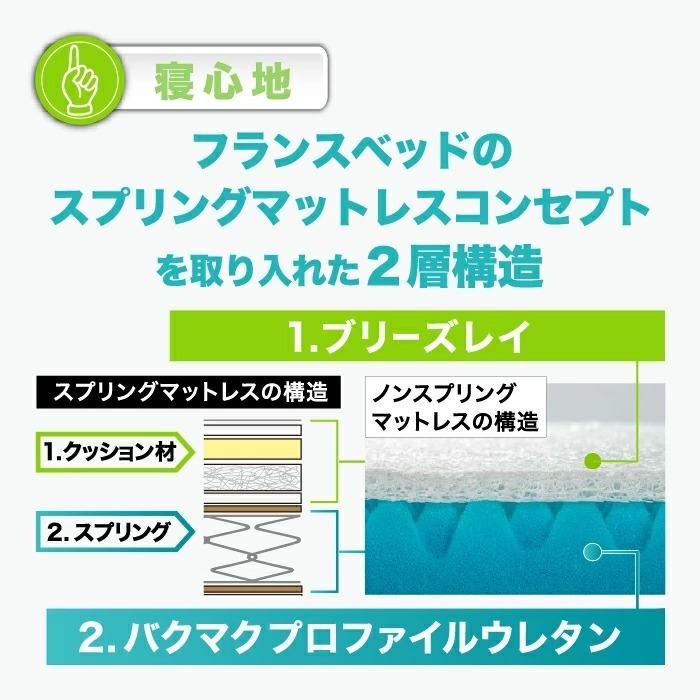 フランスベッド（FRANCEBED） キュリエスAg マットレス シングル