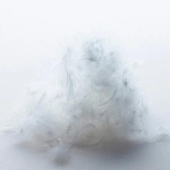 東京西川　ファインスムーズ　綿　枕 finesmooth 東京西川 ファインスムーズ 枕 ダウン・フェザー＆わた枕