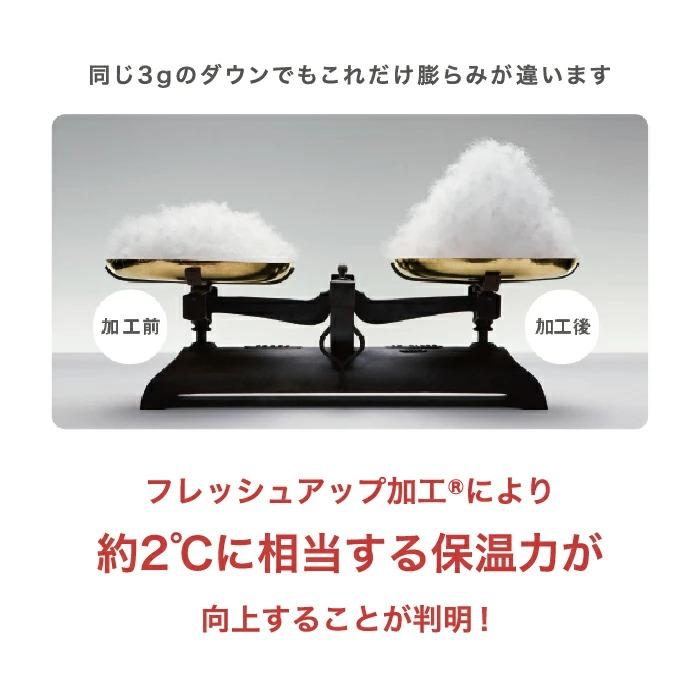 西川（nishikawa） 東京西川 GORETEX 羽毛掛けふとん 羽毛布団 ダウン