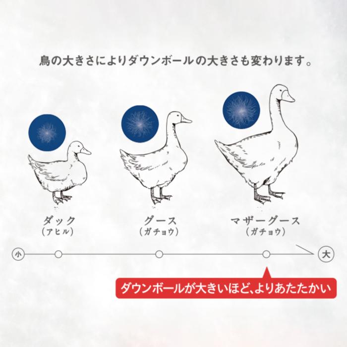 ジーリンホワイトグース 合掛け羽毛ふとん 西川プレミアム ダウン 90% 0.7kg シングル 組み合わせ羽毛ふとん 羽毛合掛けふとん 日本製 KA04495071 NP7050 | 西川 | 12