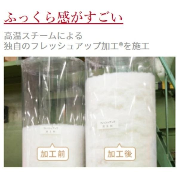 西川（nishikawa） 東京西川 ツインダウン ロシアホワイトグース 羽毛