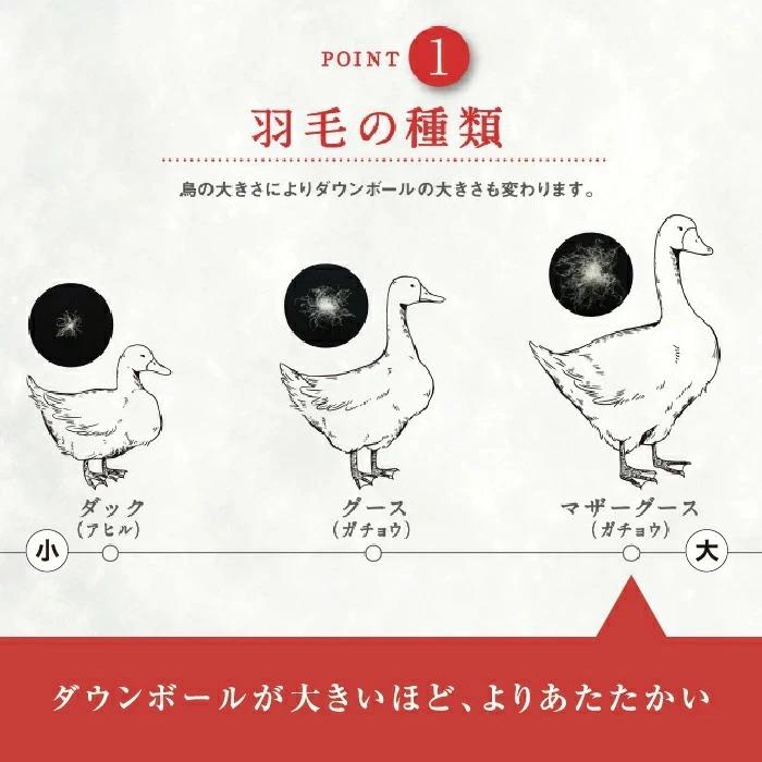 西川（nishikawa） 東京西川 クオリアル ご家庭で洗える 羽毛肌掛け