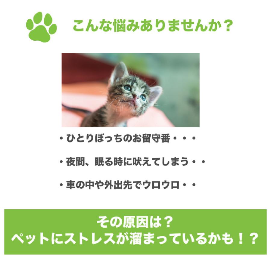 Soundoasis ペット用 サウンドオアシス スリープサウンドセラピーシステム BST80-PET Bluetoothスピーカー |  | 01