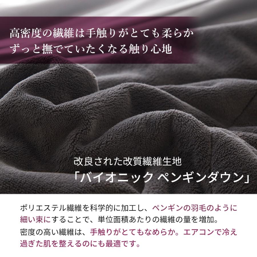 【5のつく日限定5000円OFFクーポン】毛布 ブランケット リバーシブル 冷感 一年中使える 接触冷感 フォーシーズン オールシーズン 通年 2way FourSeasonsBlanket |  | 09