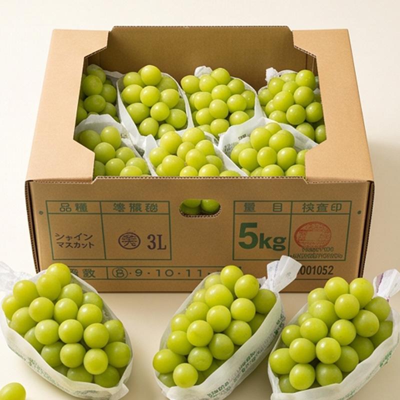 山梨県産 シャインマスカット JAフルーツ 大粒 秀品 箱売り / BOX(7房