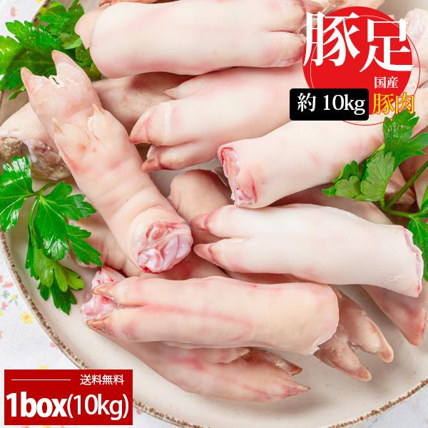 豚肉] 国産豚足 とんそく / 1BOX( 約10kg 20-25本前後) 豚足