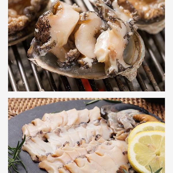 韓国産] アワビ あわび 天然 韓国ワンド 鮑 / 約1kg Lサイズ - Mサイズ