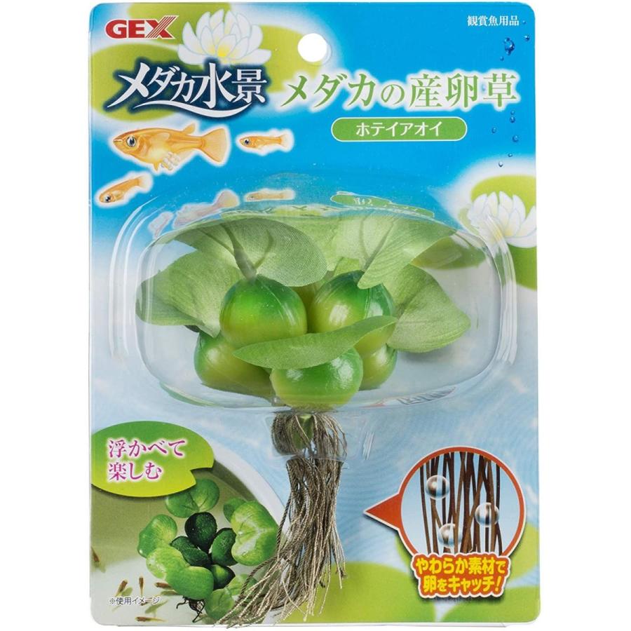 品多く ｇｅｘ メダカ水景ふわふわ産卵草ｓ メダカ 観賞魚 用品 Shipsctc Org