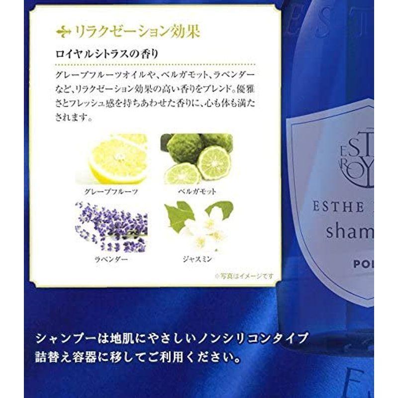 POLA エステロワイエ 業務用ボディソープ 10L (1セット10L入） エステロワイエ 業務用ボディソープ 10L 1セット10L入 　