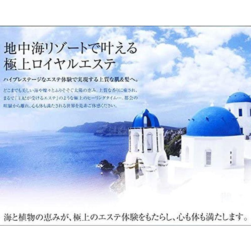 POLA エステロワイエ 業務用ボディソープ 10L (1セット10L入） エステロワイエ 業務用ボディソープ 10L 1セット10L入 　