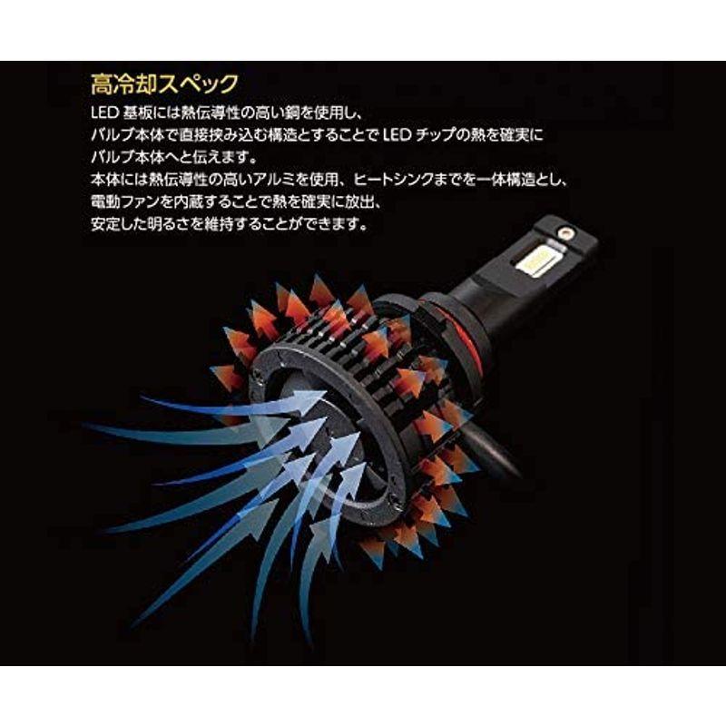 はなりん Harry Quinn ] LONG BRIGHT207 – DAIWA CYCLE オンラインストア