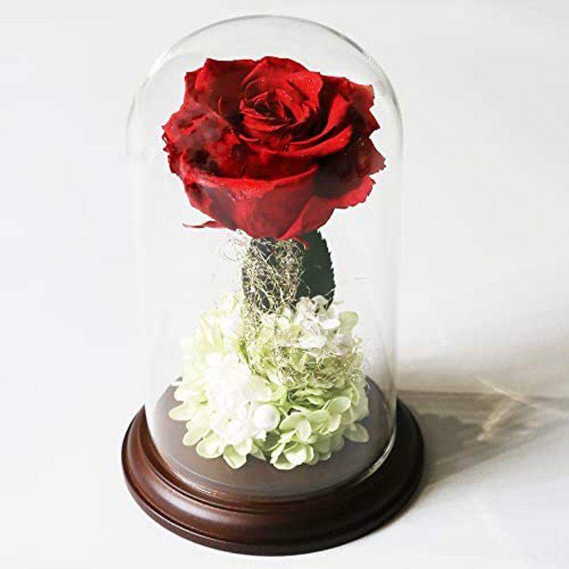 Makefuture プリンセスフルール プリザーブドフラワー ガラスドーム バラ 美女と野獣 プロポーズ ブライトレッド Sentronic Com Co
