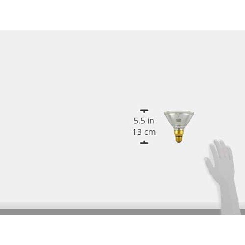 エルパ (ELPA) ハロゲンビームランプ散光 照明 電球 800lm 65W E26 EBRF110V65W｜slow-lifes｜05