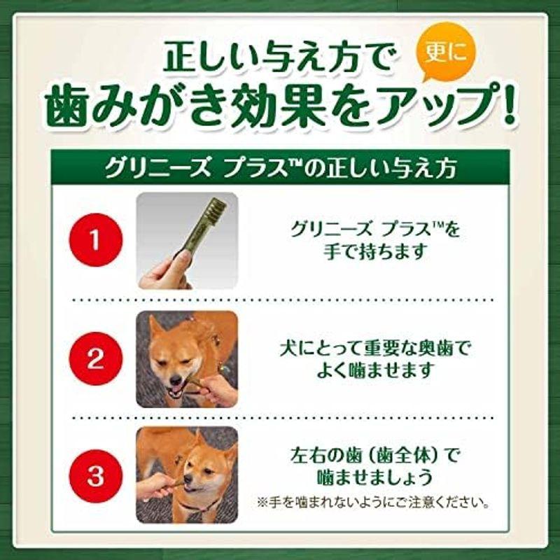 Greenies グリニーズ プラス エイジングケア 超小型犬用 2-7kg 60本(30本x2袋) 犬用歯みがきガム チキン風味 2kg｜slow-lifes｜02