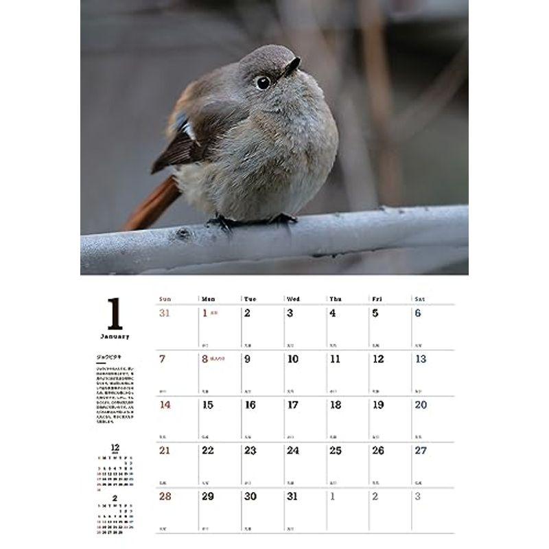 身近な野鳥カレンダー2024（壁掛け） (カレンダー)｜slow-lifes｜03