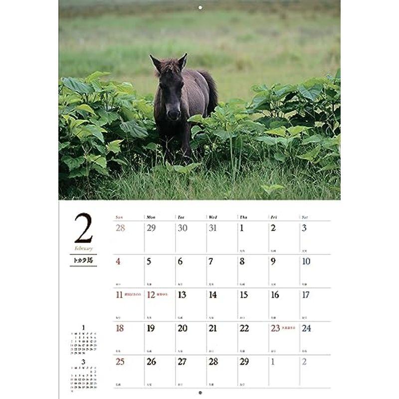 日本の馬カレンダー2024（壁掛け） (カレンダー)｜slow-lifes｜03