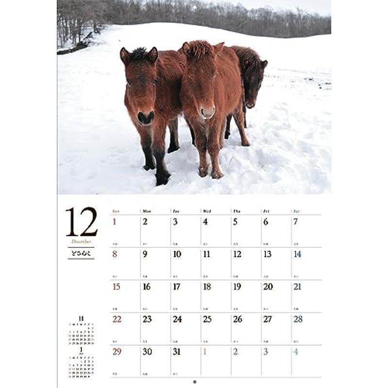 日本の馬カレンダー2024（壁掛け） (カレンダー)｜slow-lifes｜05