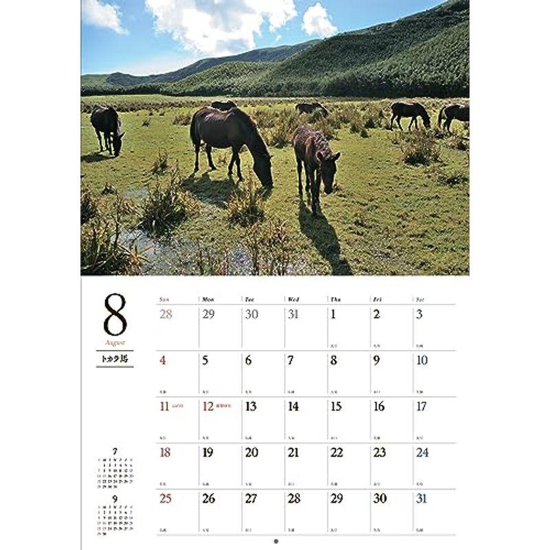 日本の馬カレンダー2024（壁掛け） (カレンダー)｜slow-lifes｜07