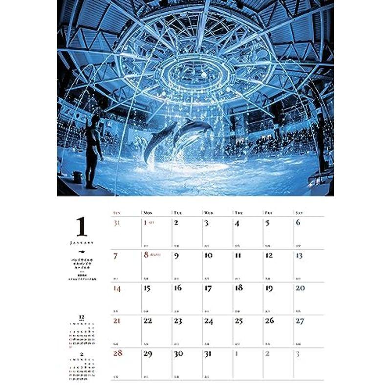 幻想的な水族館の世界カレンダー2024（壁掛け） (カレンダー)｜slow-lifes｜05