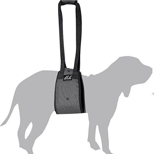 ショッピング通販 Dhk 犬 介護 ハーネス 歩行補助 小型犬 中型犬 大型犬 老犬 M 直販大セール Ssl Daikyogo Or Jp