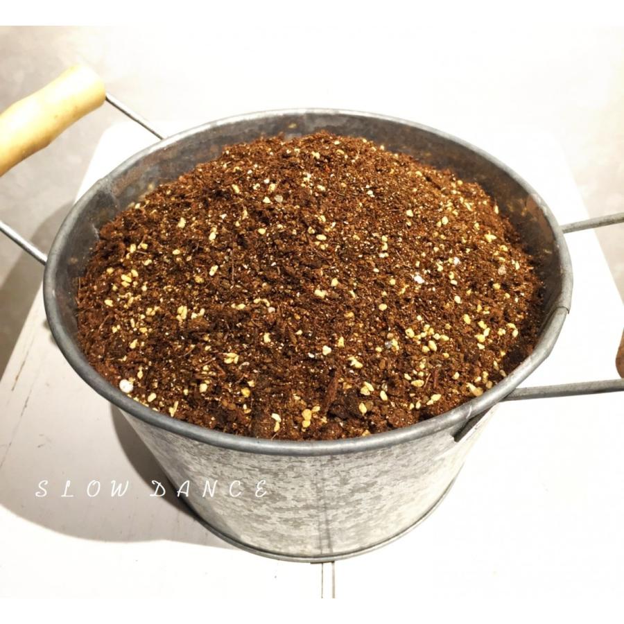 ハオルチア専用の土 元肥 有機肥料入り 約0 9リットル 培養土 多肉植物 Haworthia Soil Slowdance スローダンス Yahoo 店 通販 Yahoo ショッピング