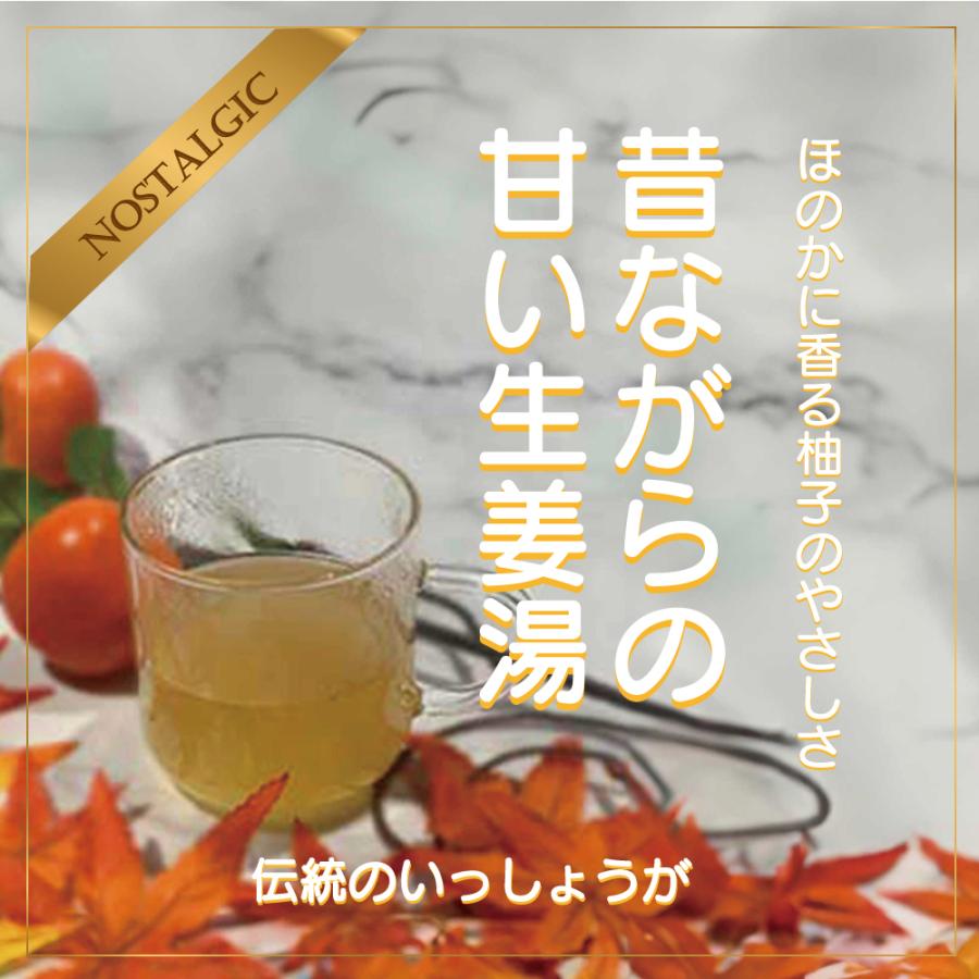 昔ながらの生姜湯（伝統のいっしょうが）16g×4袋　クリックポスト（メール便）でお届けします。 | 