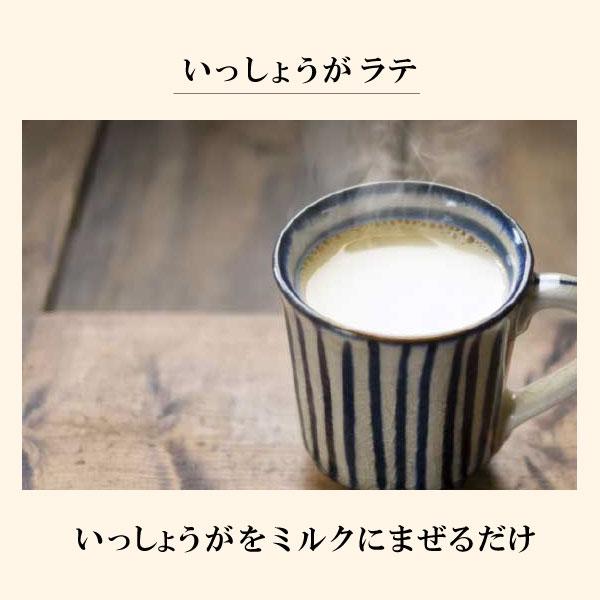 昔ながらの生姜湯（伝統のいっしょうが）16g×4袋　クリックポスト（メール便）でお届けします。 |  | 04