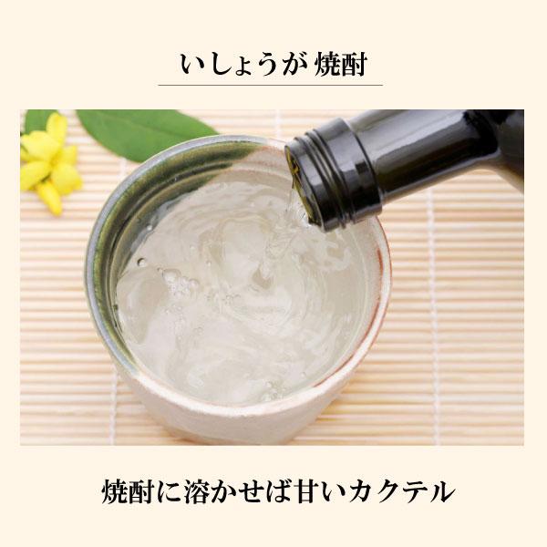 昔ながらの生姜湯（伝統のいっしょうが）16g×4袋　クリックポスト（メール便）でお届けします。 |  | 05