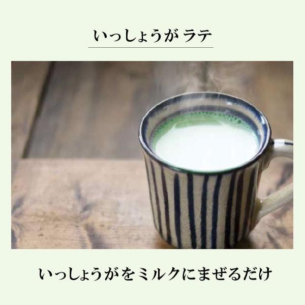 グリーンの生姜湯（安息のいっしょうが）16g×4袋　クリックポスト（メール便）でお届けします。 |  | 04