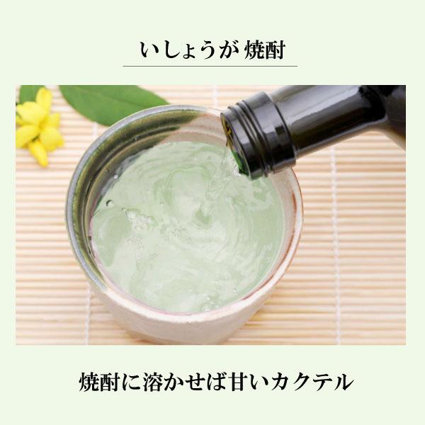 グリーンの生姜湯（安息のいっしょうが）16g×4袋　クリックポスト（メール便）でお届けします。 |  | 05