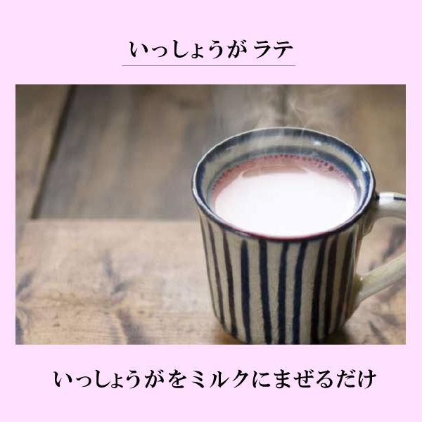 お試し！ピンクの生姜湯（情熱のいっしょうが）16g×4袋　クリックポスト（メール便）でお届けします。本年度分終了しました。＊次回製造は未定です。 |  | 05