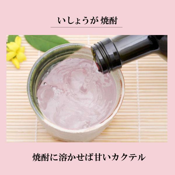 お試し！ピンクの生姜湯（情熱のいっしょうが）16g×4袋　クリックポスト（メール便）でお届けします。本年度分終了しました。＊次回製造は未定です。 |  | 06
