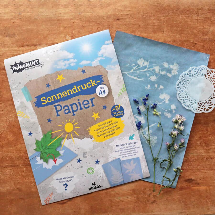 日光写真 キット 感光紙 サンプリントペーパー アート 科学 自由研究