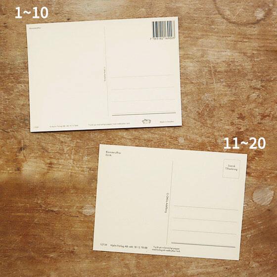 スウェーデン製 ポストカード 北欧 おしゃれ セット アート 花